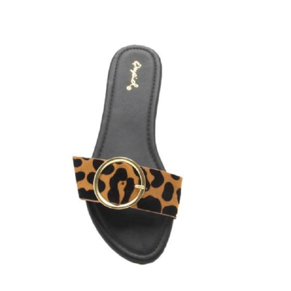 Buckle Leopard Slide - Picture 2 of 6